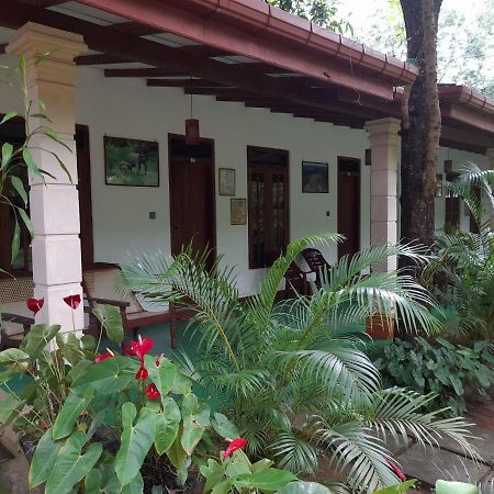 Sigiri Jungle Villa Sigiriya Ngoại thất bức ảnh