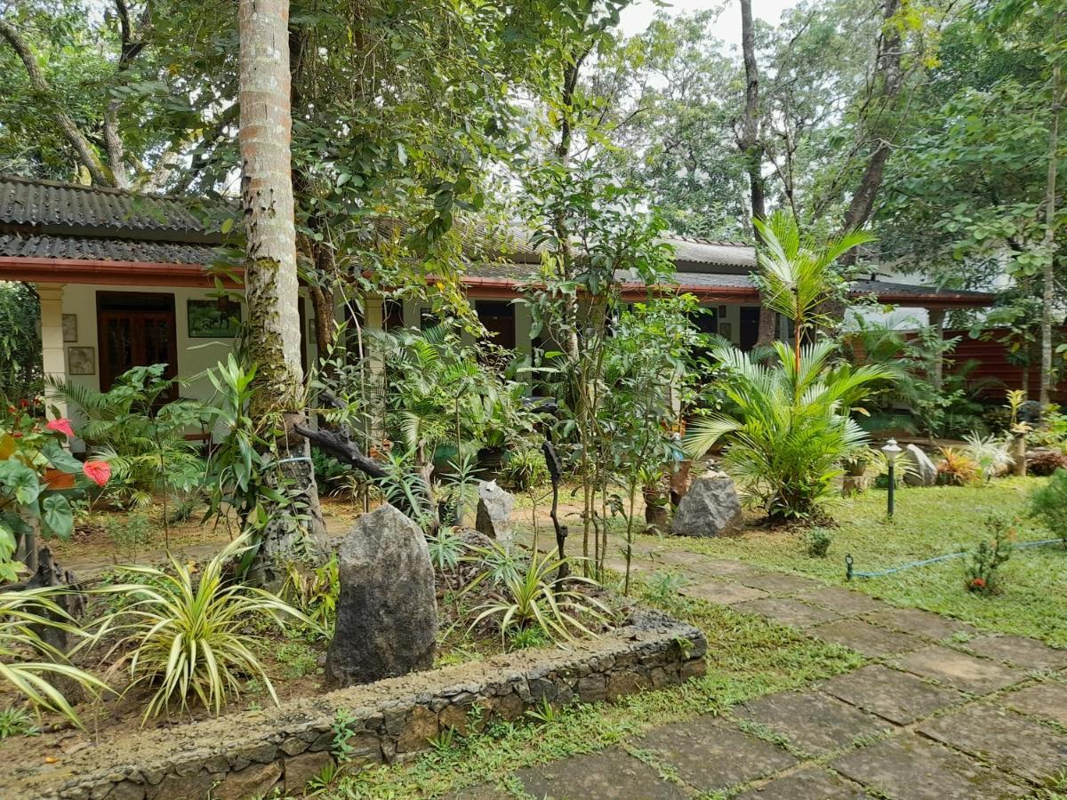 Sigiri Jungle Villa Sigiriya Ngoại thất bức ảnh