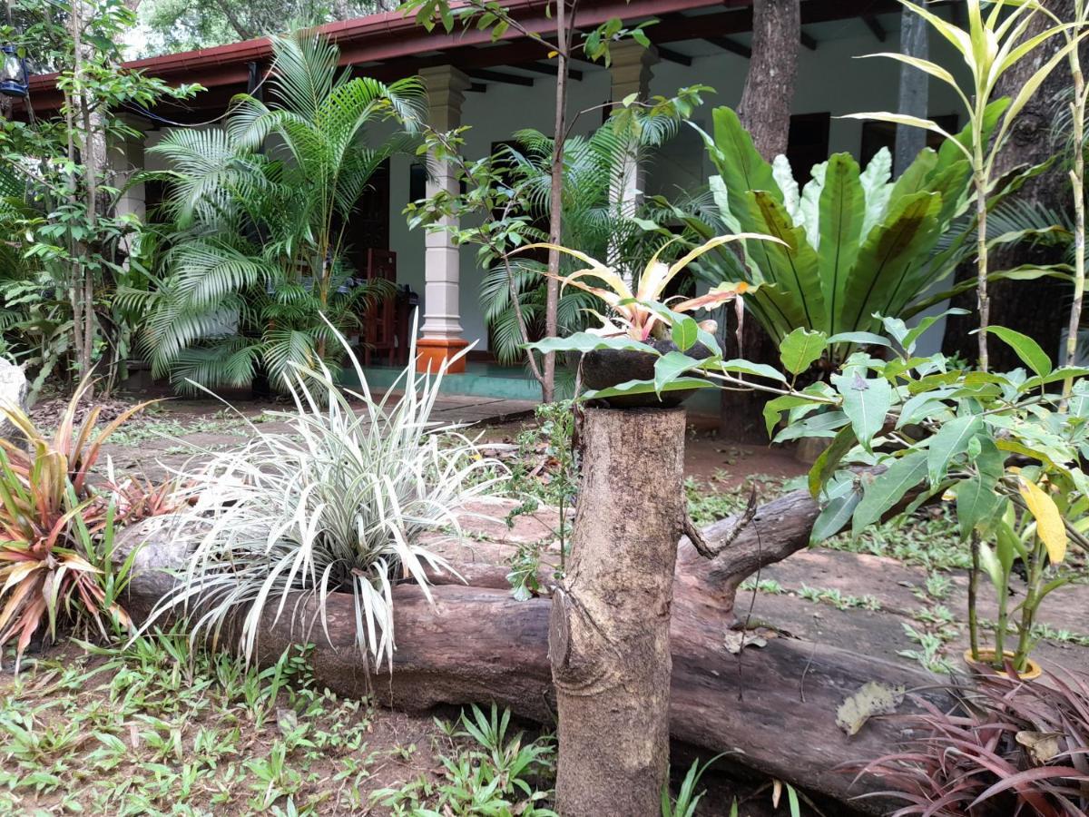 Sigiri Jungle Villa Sigiriya Ngoại thất bức ảnh