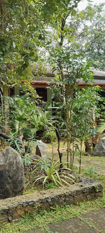 Sigiri Jungle Villa Sigiriya Ngoại thất bức ảnh